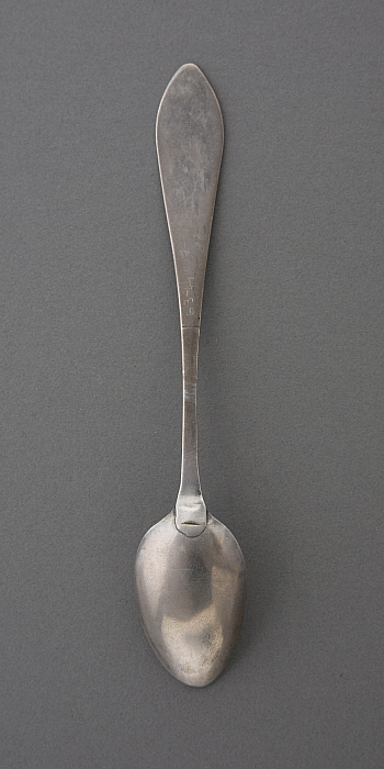 Tea Spoon Slider Image 2